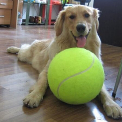 Giant Tennis Ball For Pet Chew Toy