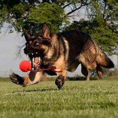 Solid Rubber Dog Chew Training Ball Toys