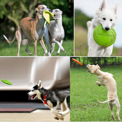 Pet Dog Frisbee Flying Disc Training Fetch Toy