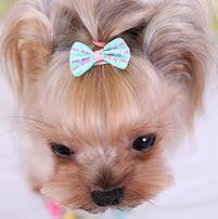 Small Dog Hair Accessories Grooming Hair Bows