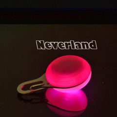 Pet LED Night Safety Flash Light For Collar