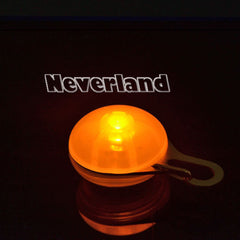 Pet LED Night Safety Flash Light For Collar