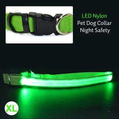 Pet Dog Collar Night Safety Flashing Glow