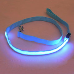 Dog LED Leash Safety Glow Leash