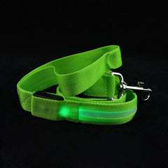 Dog LED Leash Safety Glow Leash