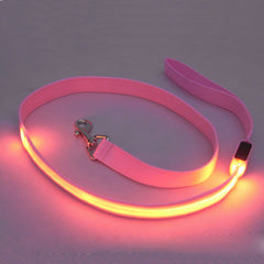 Dog LED Leash Safety Glow Leash