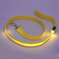 Dog LED Leash Safety Glow Leash