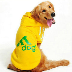 Big Dog Clothes Hoodie Apparel Clothing