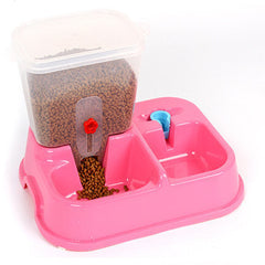 Dual Automatic Pet Feeding and Watering