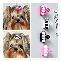 Pet Accessories Resin Crown Clip