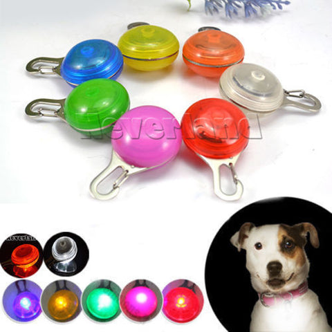 Pet LED Night Safety Flash Light For Collar