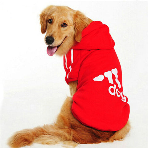 Big Dog Clothes Hoodie Apparel Clothing